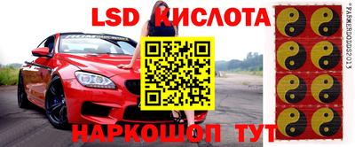 Альфа ПВП Новозыбков