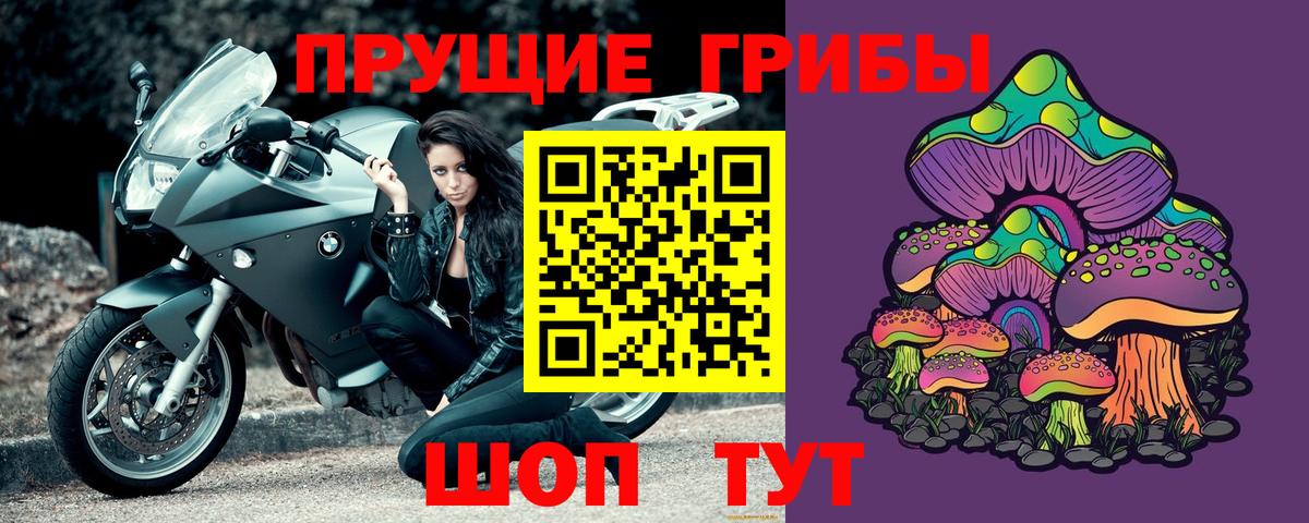 Псилоцибиновые грибы Cubensis  Вход с VPN  Тимашёвск 